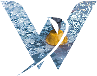 Service Icon